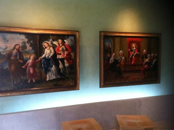 Reliable yard cleanup service in Mission Viejo, CA by AV Landscaping