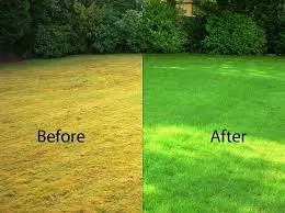 Custom garden landscaping in Springdale, AR by A&V Landscaping