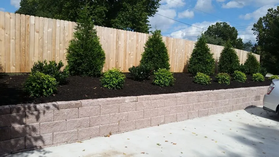 Professional lawn mowing service near you in Springdale, AR by A&V Landscaping