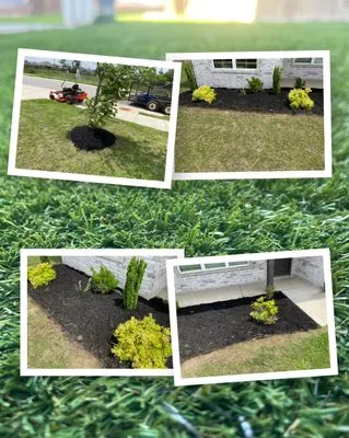 A&V Landscaping Logo