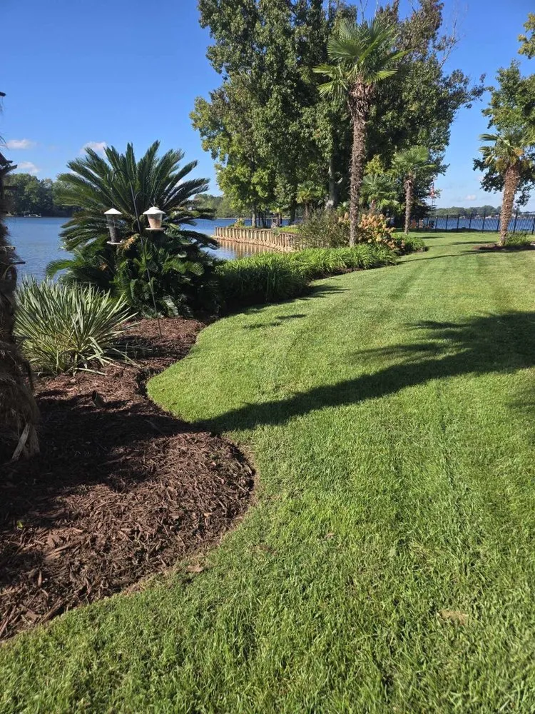 Local yard cleanup service in Mooresville, NC by Av Landservices