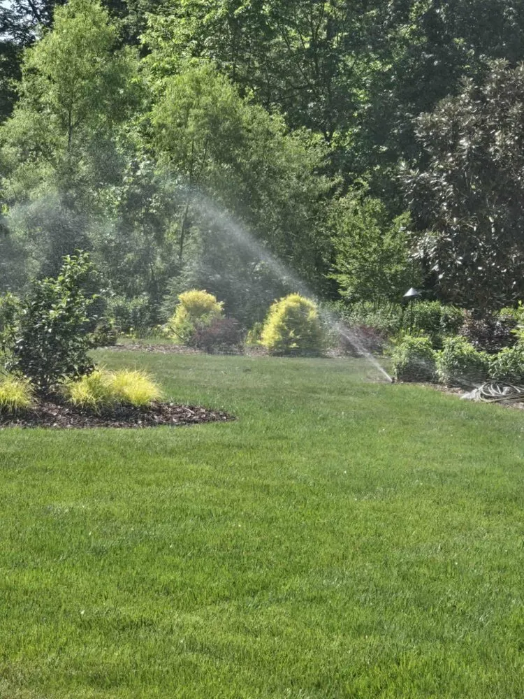 Trusted yard cleanup service in Mooresville, NC by Av Landservices