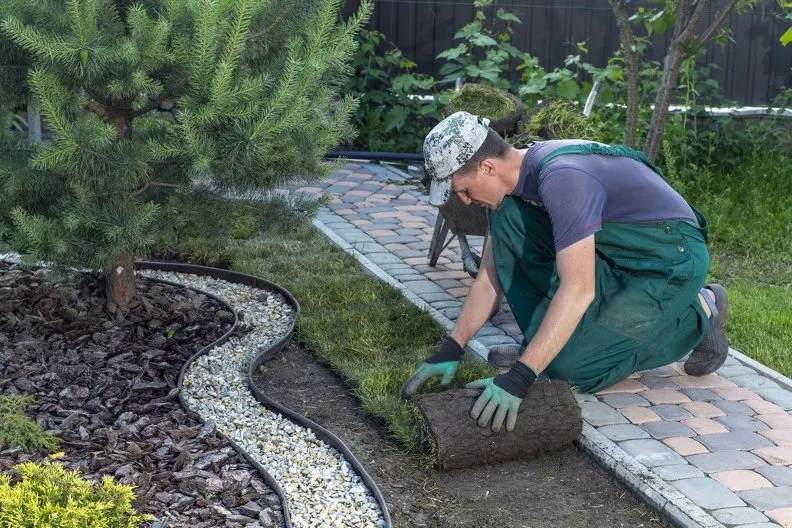 Custom yard cleanup service in Lorton, VA - AV Lawn Care Services