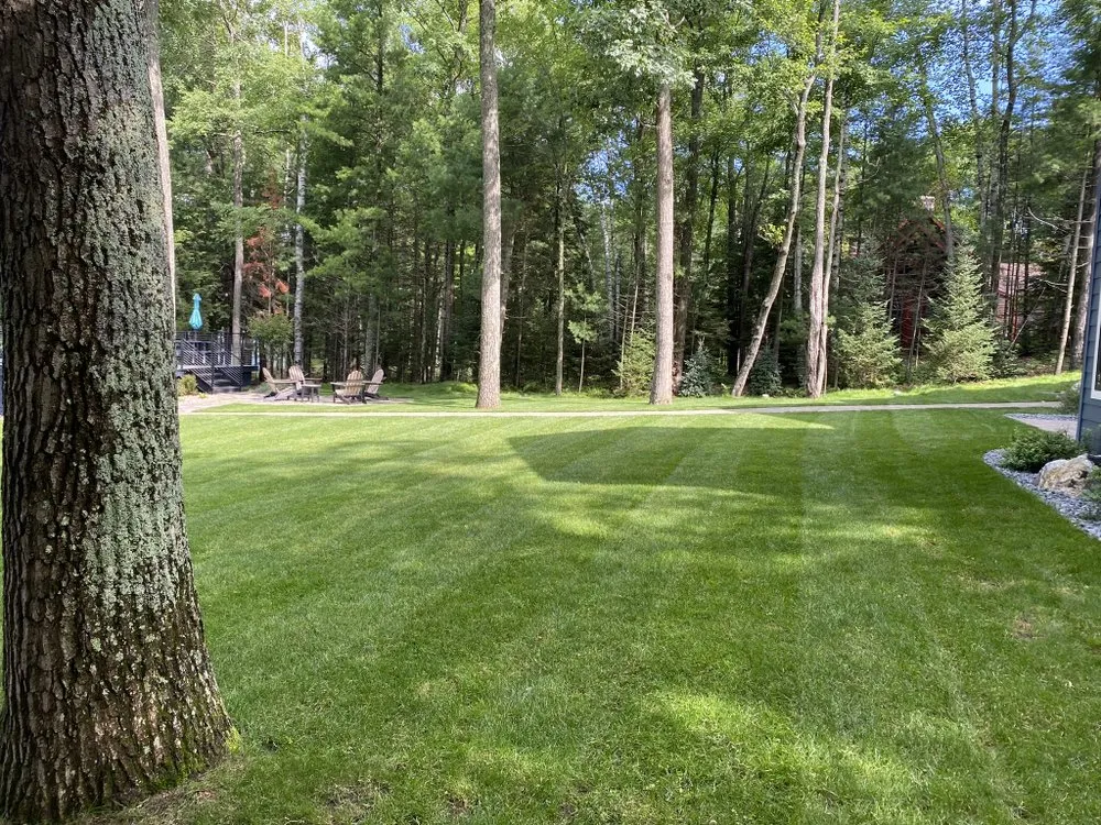 Top-rated yard cleanup service experts serving Woodruff, WI - AV Lawn Care