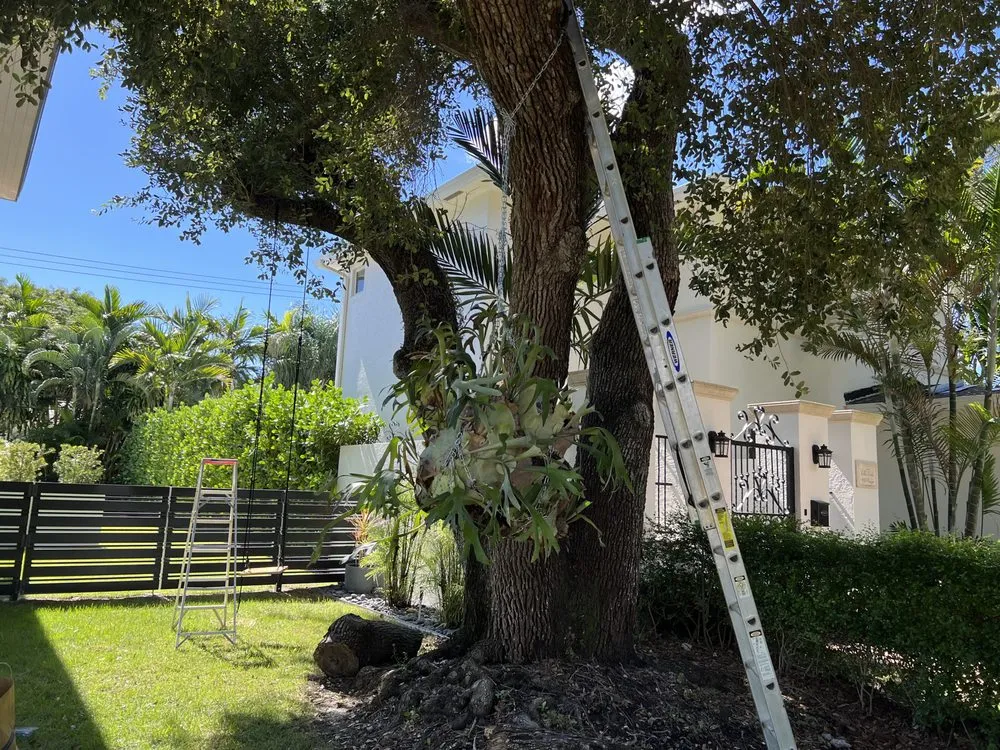 Top-rated residential landscaping in Homestead, FL - A&V Lawn