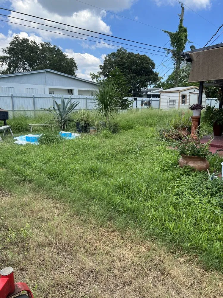 Affordable residential landscaping experts serving Homestead, FL - A&V Lawn