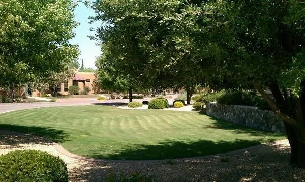 Top-rated lawn care service for beautiful yards across Anthony, NM - A.V. Lawn Service & Landscaping