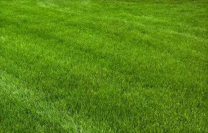 Trusted residential landscaping experts serving Rancho Cordova, CA - AV Lawn Service and Landscaping