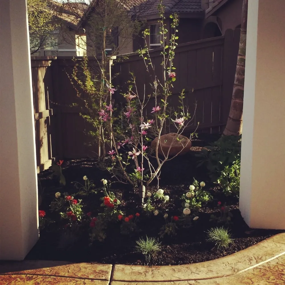 Custom lawn mowing service for residential properties across Rancho Cordova, CA - AV Lawn Service and Landscaping