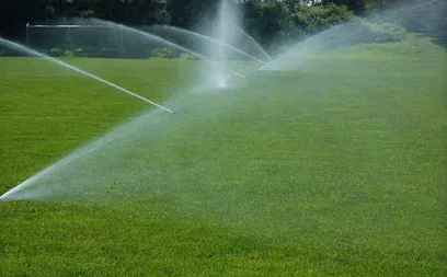 Local outdoor landscaping in Rancho Cordova, CA - AV Lawn Service and Landscaping