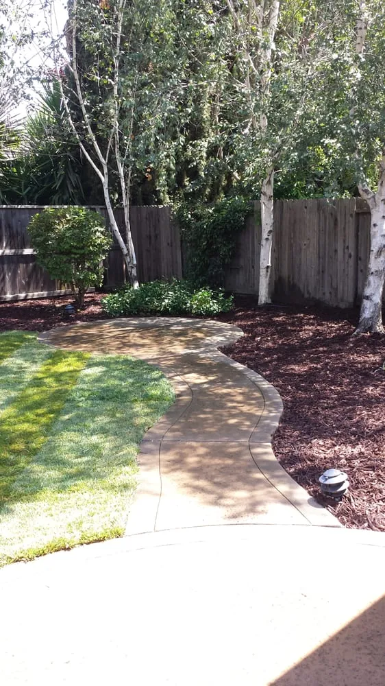 Reliable landscaping services experts serving Rancho Cordova, CA - AV Lawn Service and Landscaping