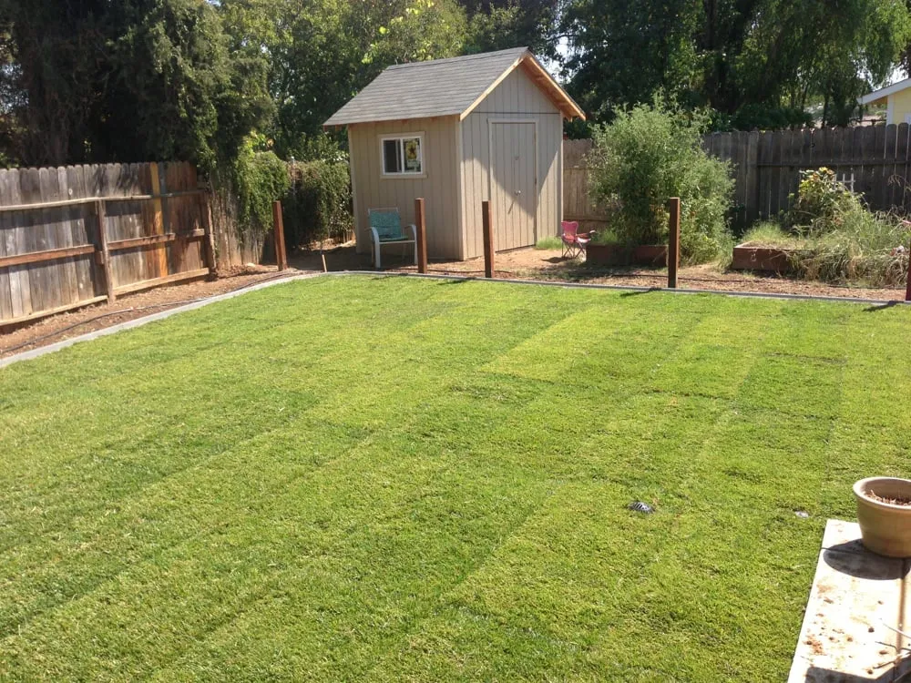 Trusted outdoor landscaping in Rancho Cordova, CA - AV Lawn Service and Landscaping