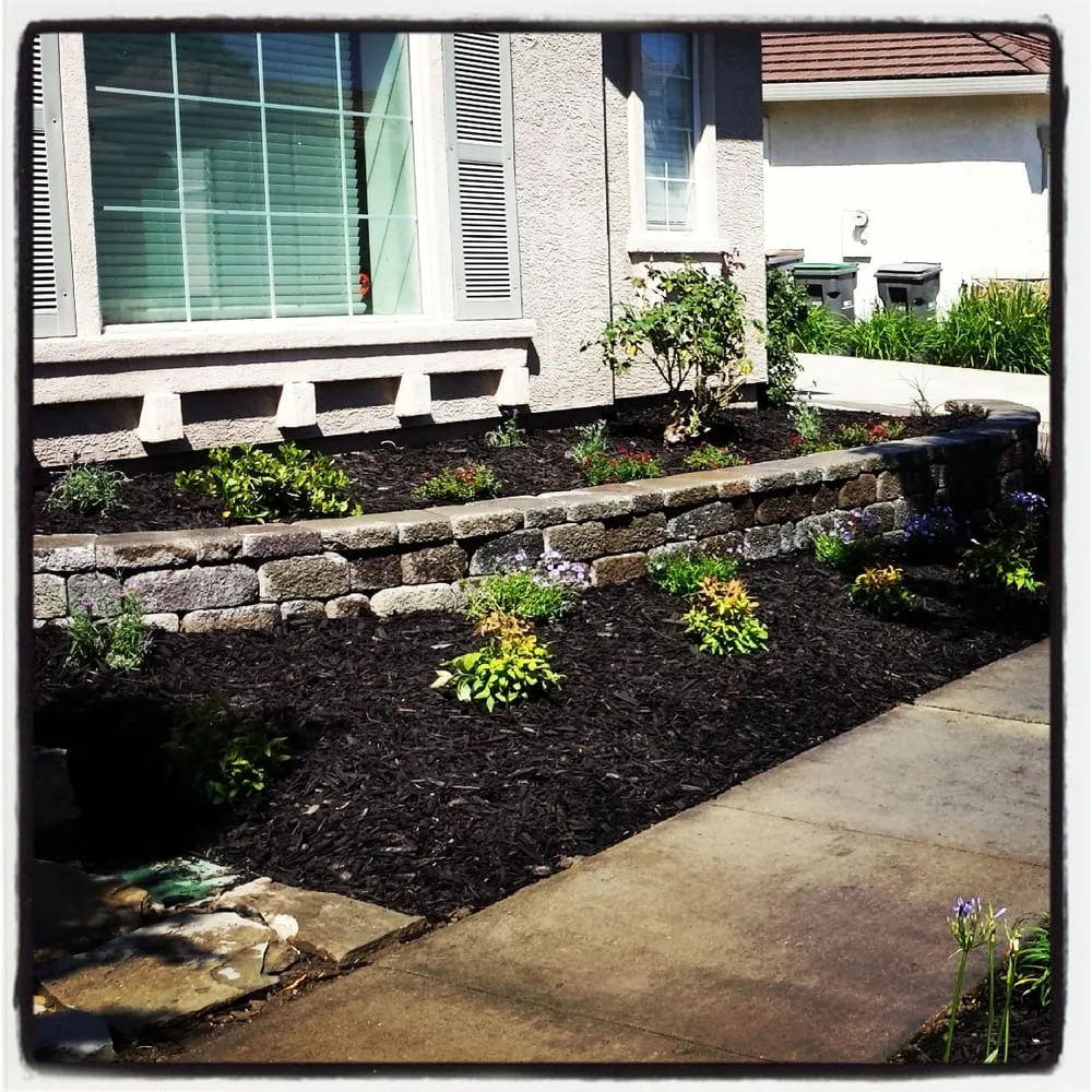 Custom lawn mowing service for year-round maintenance across Rancho Cordova, CA - AV Lawn Service and Landscaping