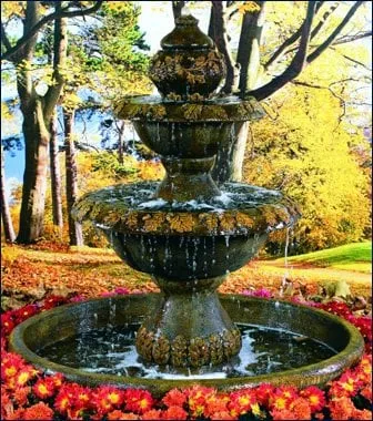 Affordable landscaping services in Rancho Cordova, CA by AV Lawn Service and Landscaping