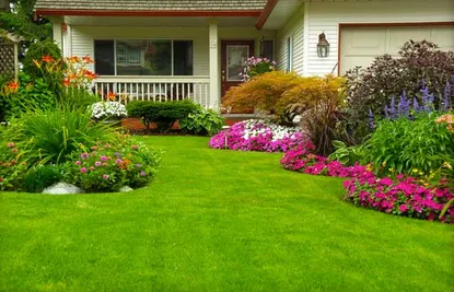 Expert yard maintenance in Rancho Cordova, CA - AV Lawn Service and Landscaping