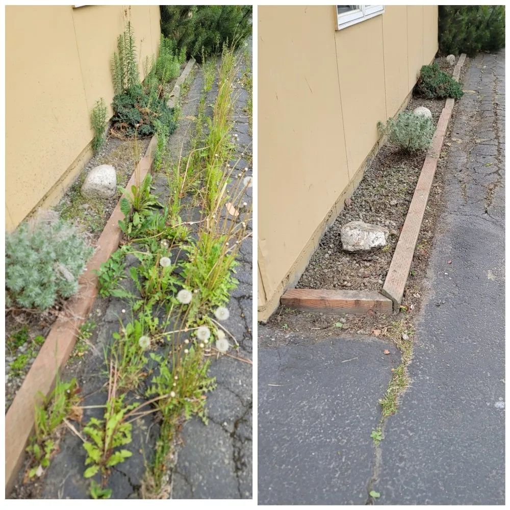 Expert landscape installation experts serving Anchorage, AK - AV Professional Cleaning