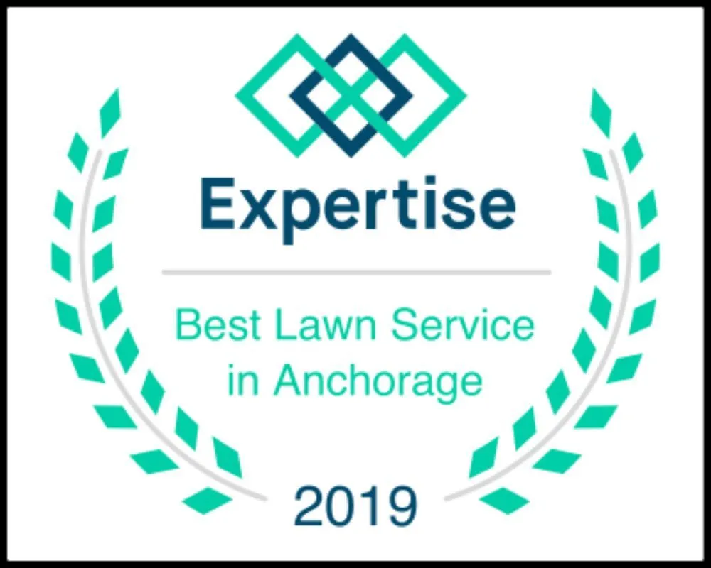 Affordable landscape design for beautiful yards across Anchorage, AK - AV Professional Cleaning