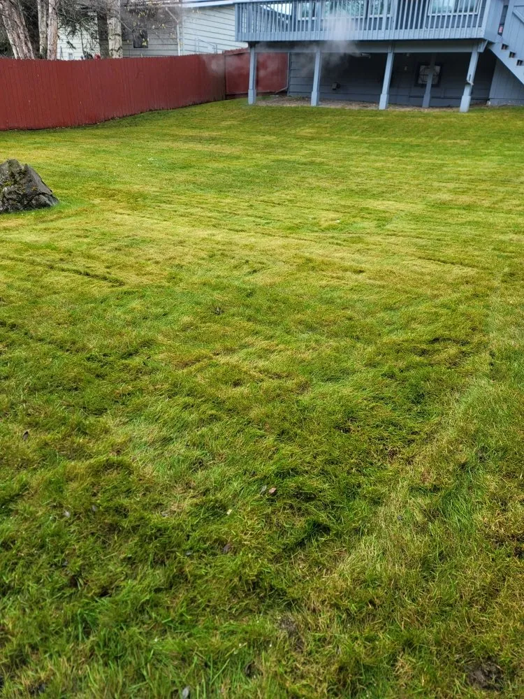 Local yard maintenance in Anchorage, AK - AV Professional Cleaning