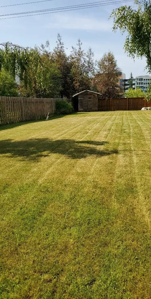 Affordable lawn mowing service with custom design in Anchorage, AK by AV Professional Cleaning