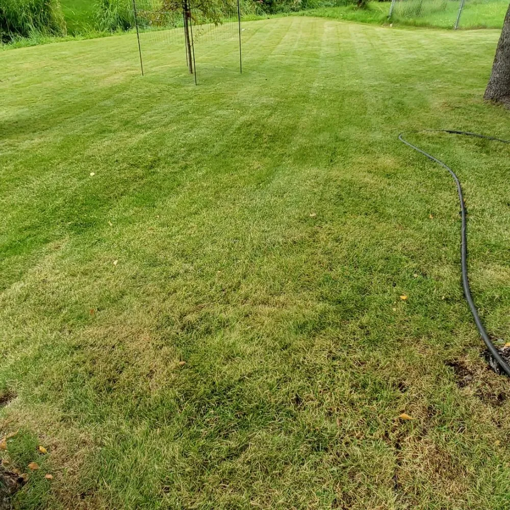 Reliable landscaping services in Anchorage, AK by AV Professional Cleaning
