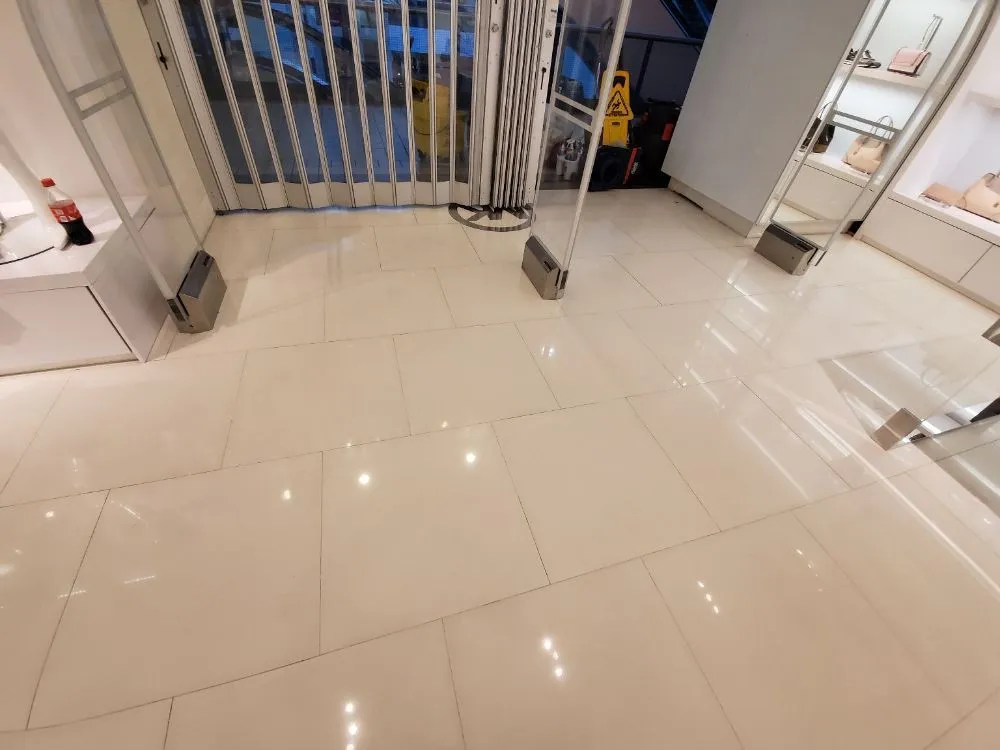 Professional lawn care service experts serving Anchorage, AK - AV Professional Cleaning