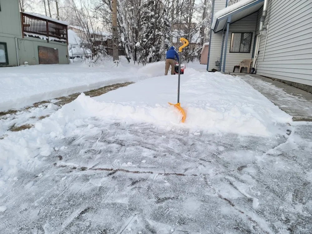 Trusted yard cleanup service in Anchorage, AK - AV Professional Cleaning