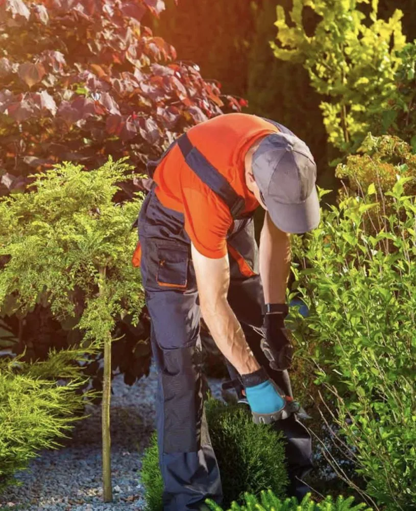 Reliable landscape design in Ponderay, ID - AV Property Services