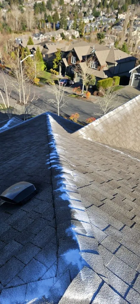 Top-rated garden landscaping experts serving Seattle, WA - A.V RenewPressure & GreenScape Designs