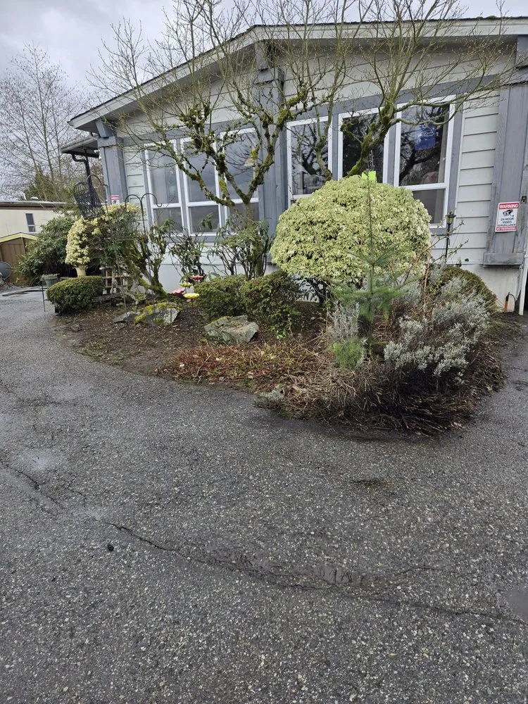 Trusted landscape installation in Seattle, WA - A.V RenewPressure & GreenScape Designs