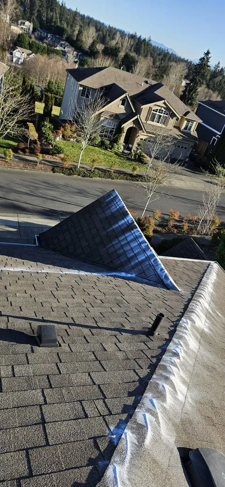 Custom yard cleanup service experts serving Seattle, WA - A.V RenewPressure & GreenScape Designs