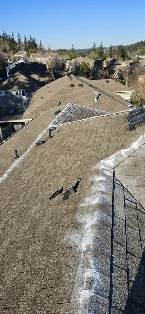 Affordable garden landscaping experts serving Seattle, WA - A.V RenewPressure & GreenScape Designs