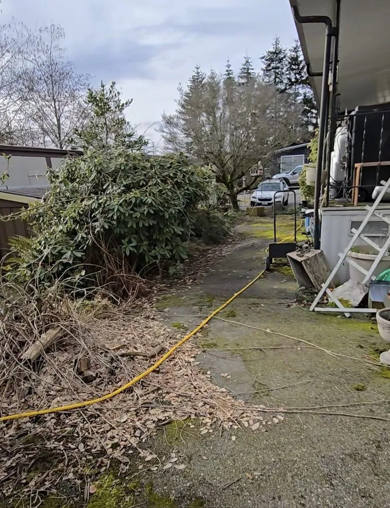 Trusted landscape installation for outdoor upgrades across Seattle, WA - A.V RenewPressure & GreenScape Designs