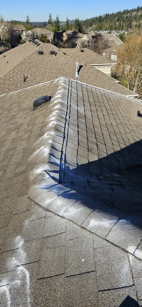 Custom yard maintenance for beautiful yards in Seattle, WA by A.V RenewPressure & GreenScape Designs