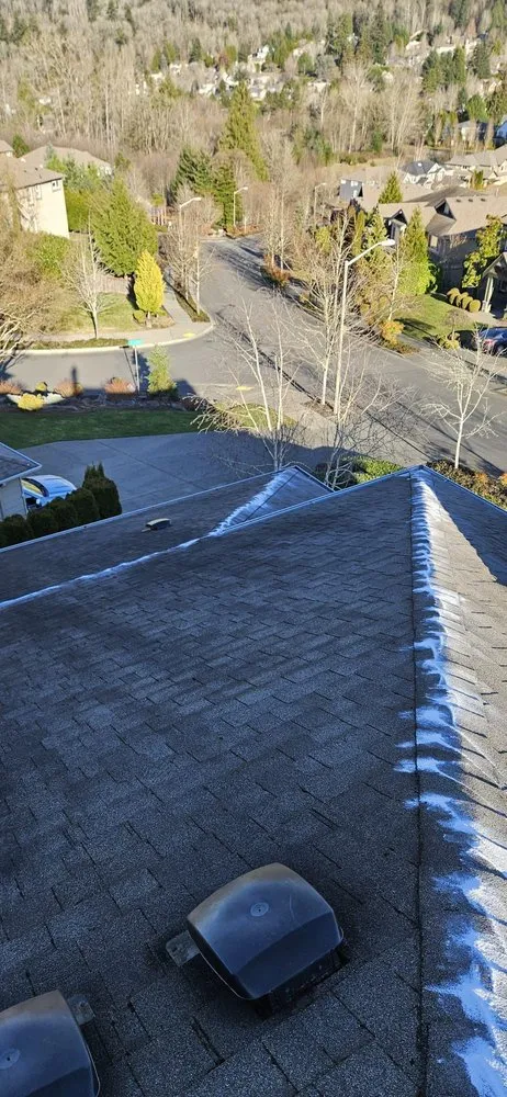 Top-rated outdoor landscaping in Seattle, WA by A.V RenewPressure & GreenScape Designs