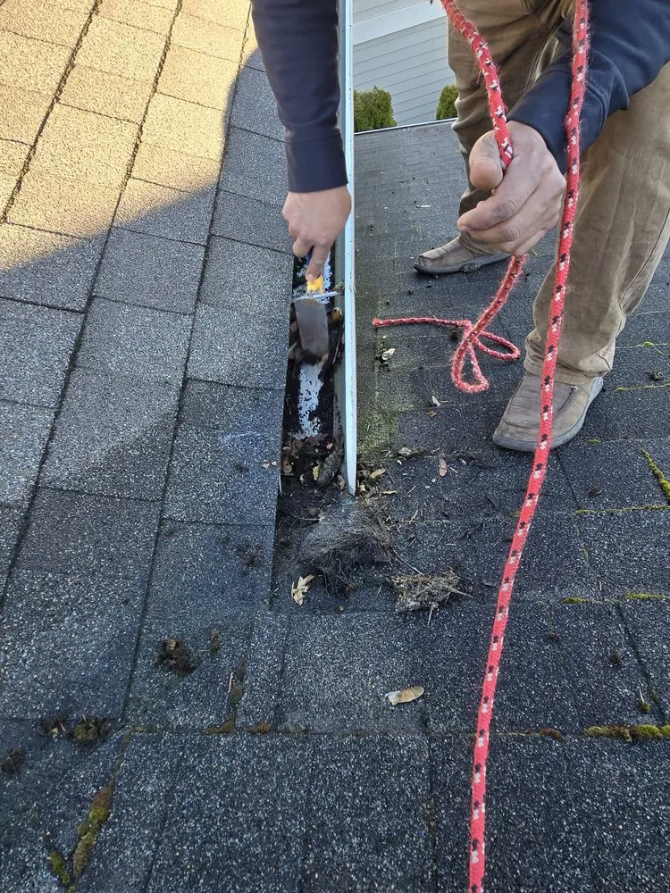 Local outdoor landscaping in Seattle, WA - A.V RenewPressure & GreenScape Designs