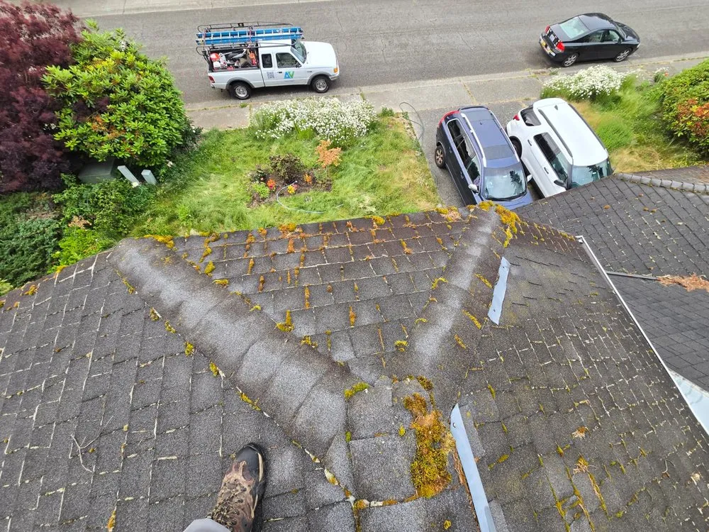 Top-rated outdoor landscaping for outdoor upgrades across Seattle, WA - A.V RenewPressure & GreenScape Designs