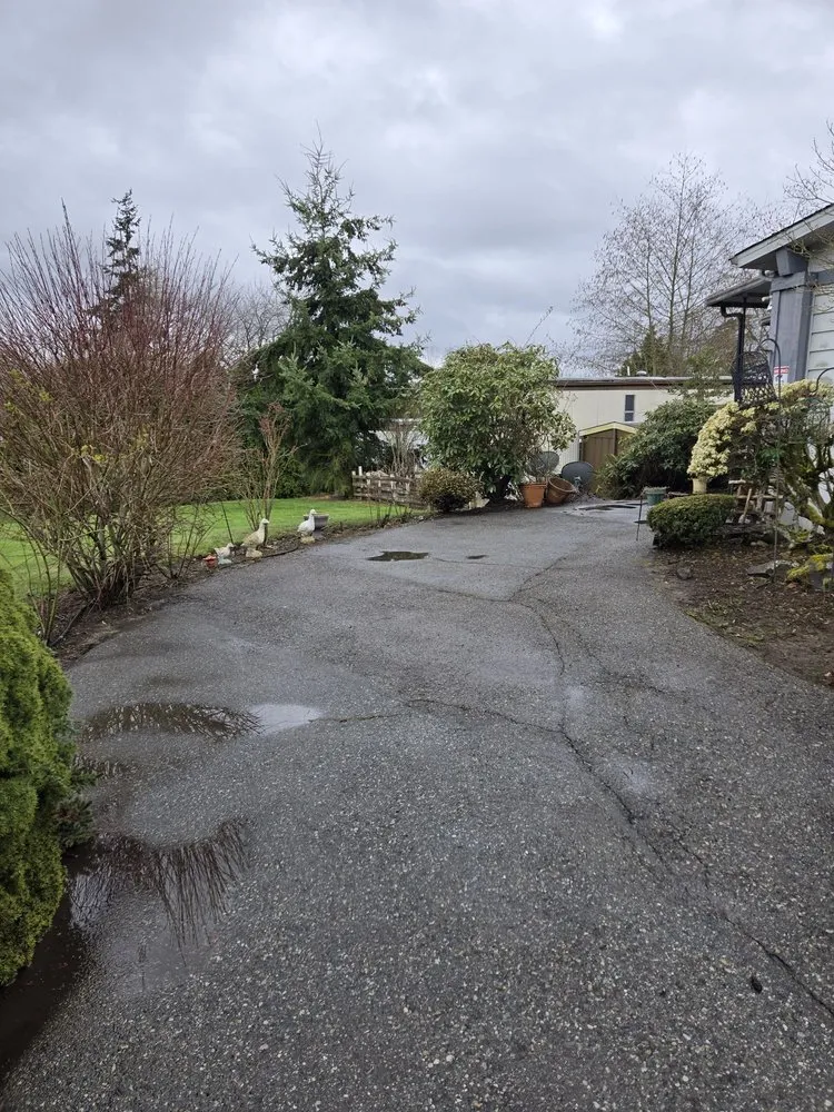 Custom landscape design experts serving Seattle, WA - A.V RenewPressure & GreenScape Designs