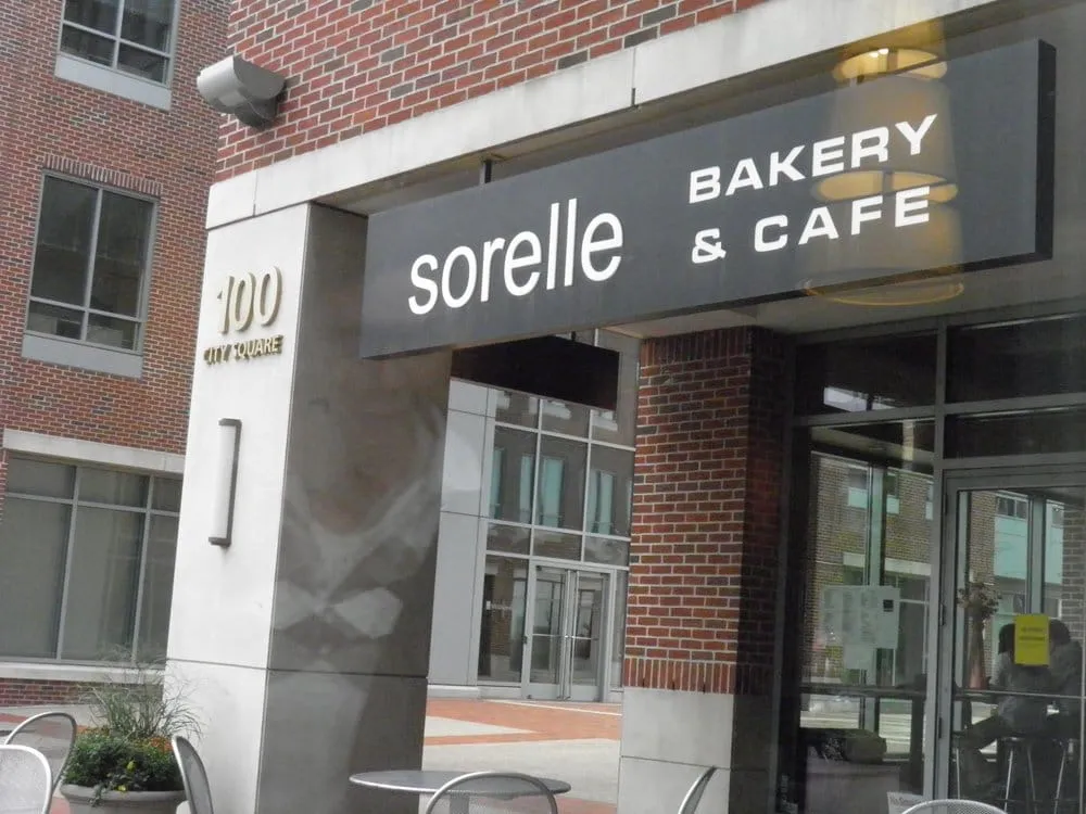 Custom yard maintenance experts serving Seattle, WA - A.V RenewPressure & GreenScape Designs