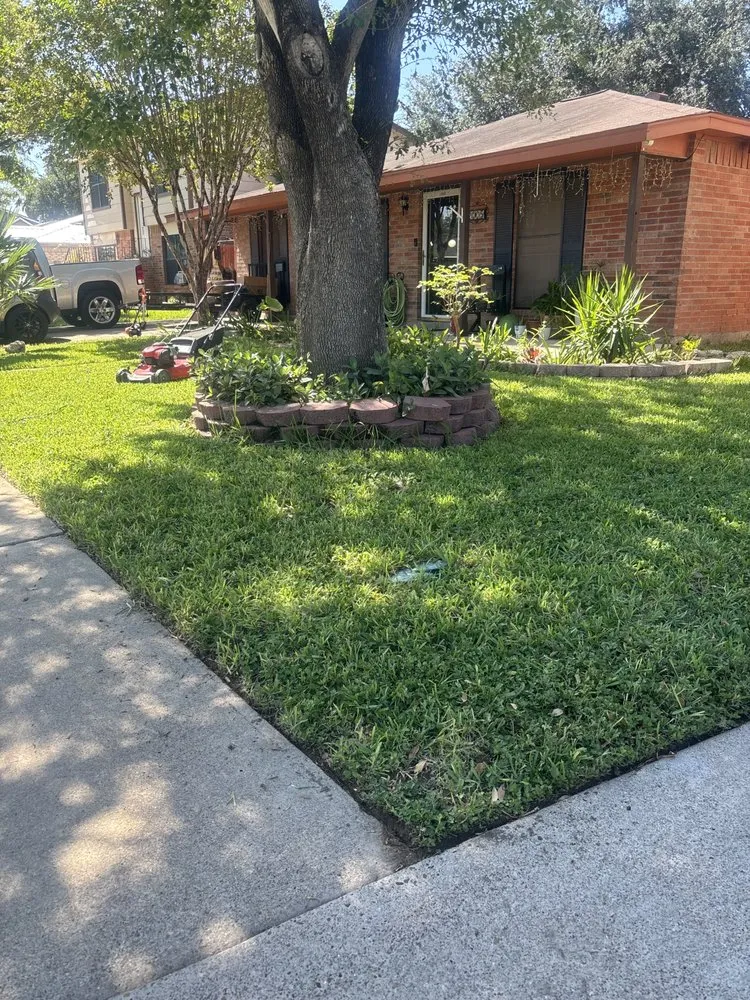 Local outdoor landscaping for homes in McAllen, TX by AV Shrubs And Yard