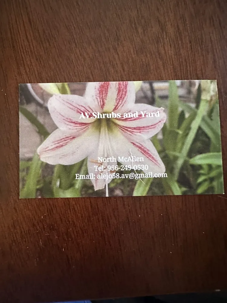 Reliable landscape design for outdoor upgrades across McAllen, TX - AV Shrubs And Yard