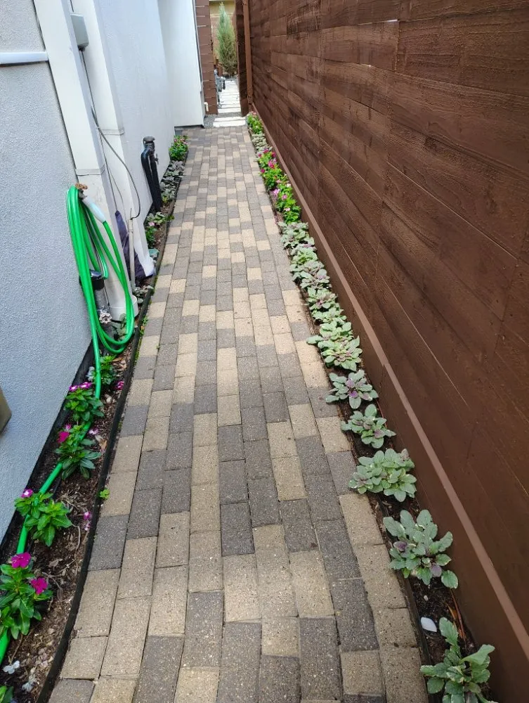 Expert landscape design for residential properties in Houston, TX by Ava Landscape