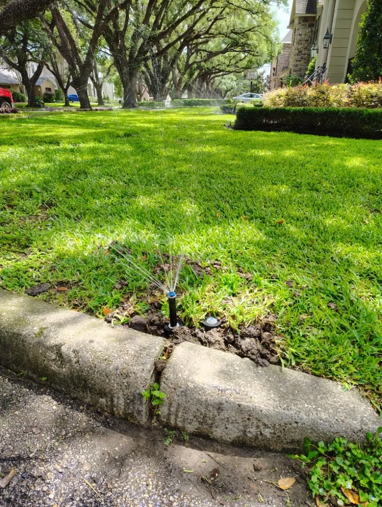 Trusted landscaping services experts serving Houston, TX - Ava Landscape