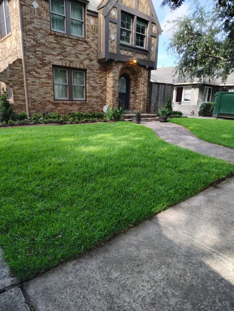 Top-rated lawn mowing service experts serving Houston, TX - Ava Landscape