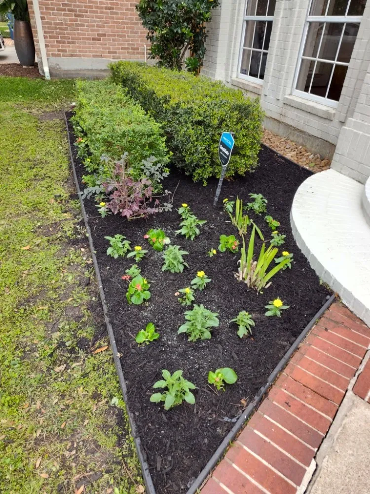 Affordable residential landscaping in Houston, TX - Ava Landscape