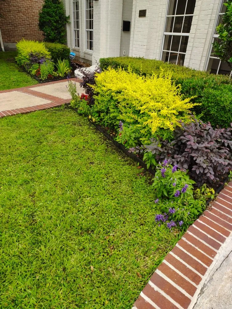 Local yard cleanup service experts serving Houston, TX - Ava Landscape