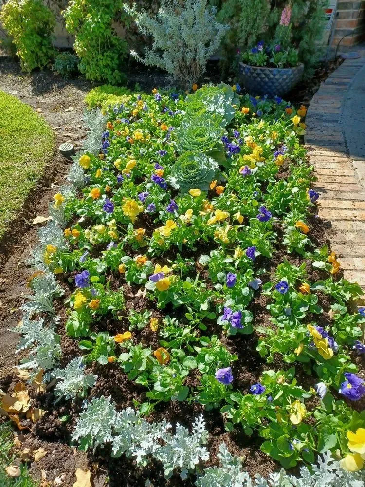 Top-rated residential landscaping in Houston, TX - Ava Landscape