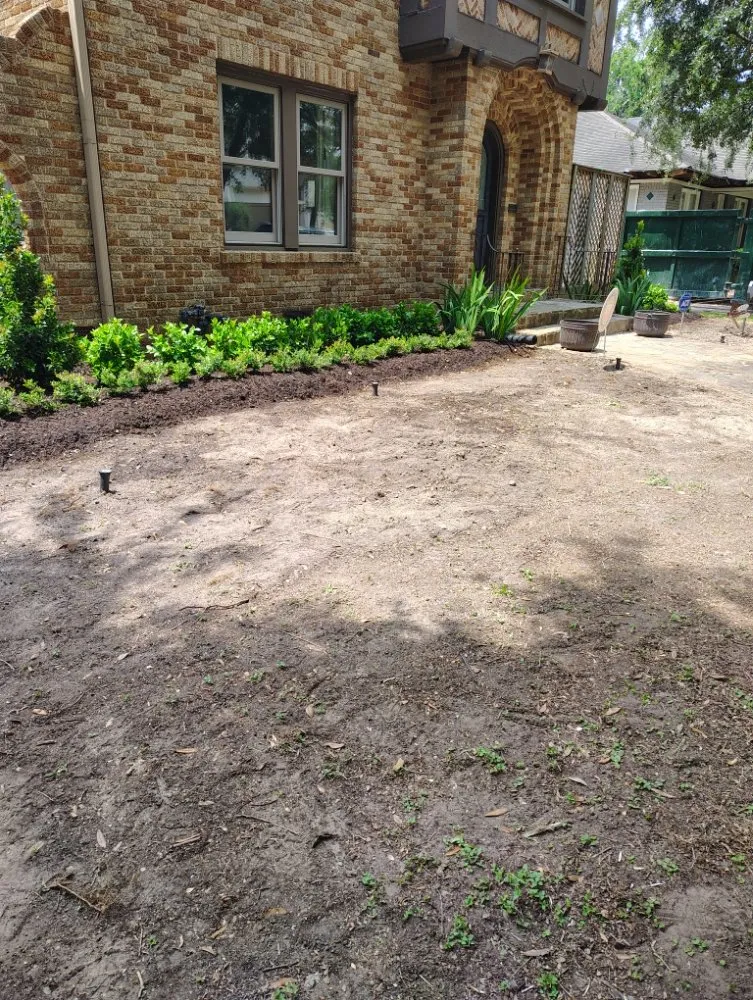 Trusted yard cleanup service in Houston, TX - Ava Landscape