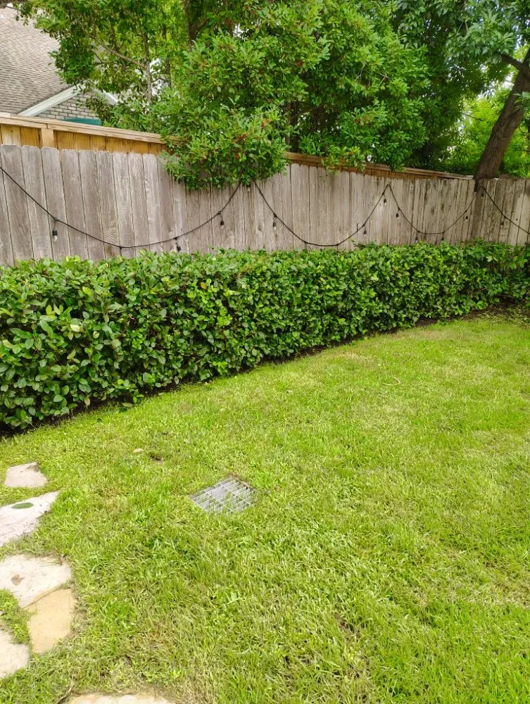 Reliable outdoor landscaping in Houston, TX by Ava Landscape