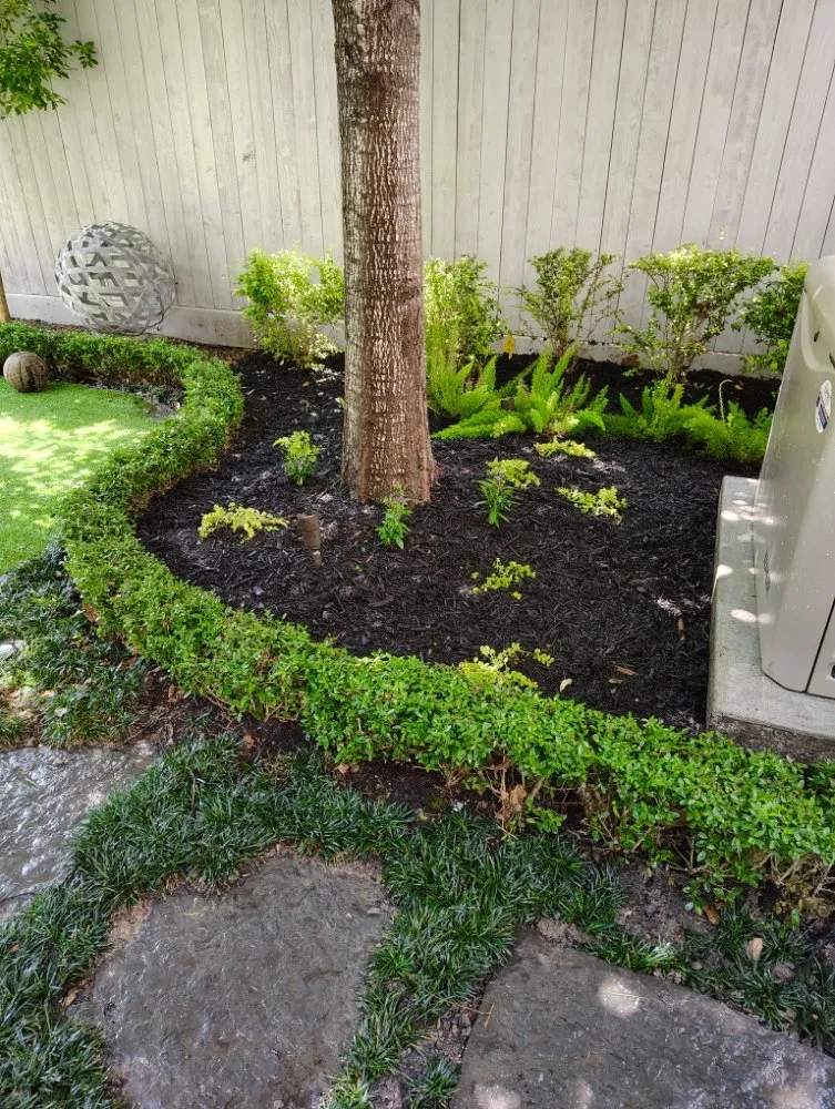 Local lawn care service experts serving Houston, TX - Ava Landscape