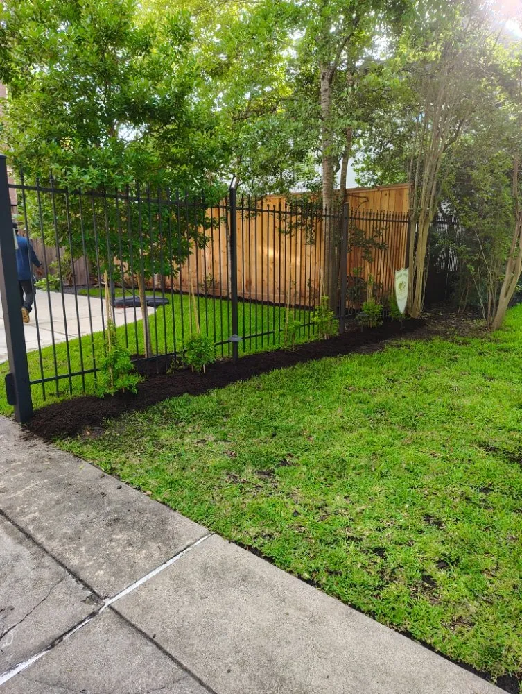 Affordable landscaping services for homes across Houston, TX - Ava Landscape